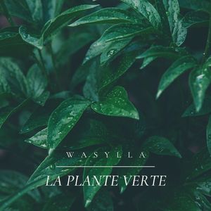 La Plante Verte