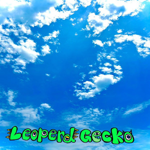 グラジオラスが咲く前に