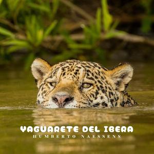 Yaguarete del Ibera (feat. Humberto Naessens)