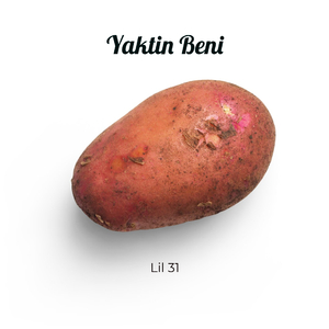 Yaktin Beni