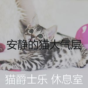 有趣睡猫情怀