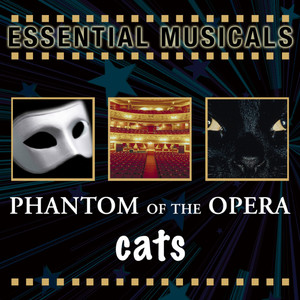 Grizabella: The Glamour Cat