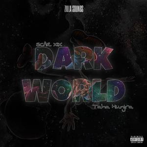 Dark World (feat. Taha Hunjra)