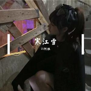 寒江雪DJ
