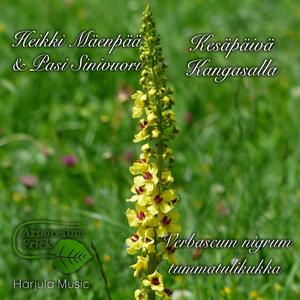 Kesäpäivä Kangasalla (feat. Pasi Sinivuori) (Radio Edit)