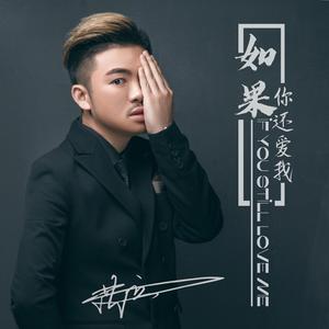 洪立 如果你还爱我