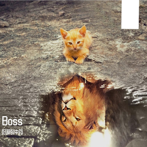 Boss （Prod by Noctur）