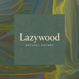 흐르는 계곡 물소리와 잔잔한 티벳 싱잉볼