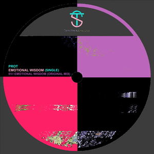 Emotional Wisdom (Original Mix)