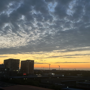 嘴硬时的不坚定