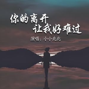 你的离开让我好难过