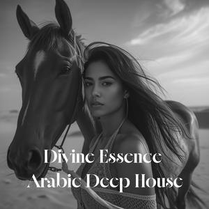 Pure Sands (Original Mix)