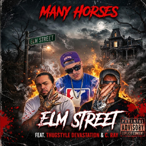 Elm Street (feat. Thugstyle Devastation & C. Ray)