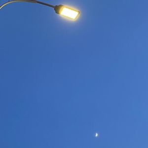 看到什么就谈论什么