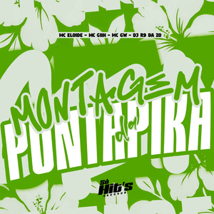 Montagem Ponta da Pika