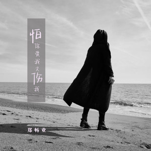 怕你爱我又伤我 (DJ龙叔版)