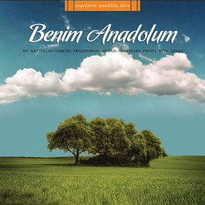 Sürüler İçinde Sürmeli Koyun