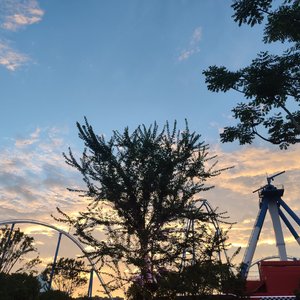 让风告诉你(甜妹版)