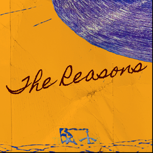 The Reasons