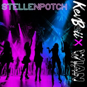 Stellenpotch