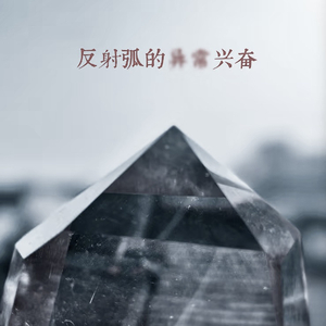 反射弧的异常兴奋.WAV