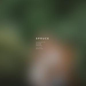 Spruce