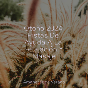 Epifanías Iluminadas