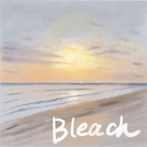 Bleach