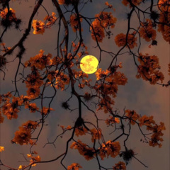 交换余生 (钢琴版)