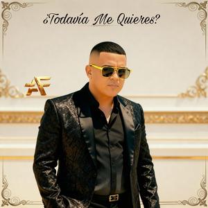 ¿Todavía Me Quieres? (VIP Collection )