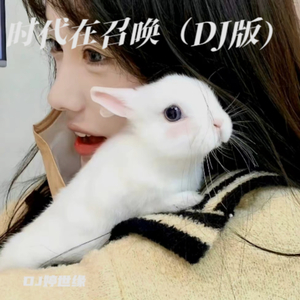 时代在召唤 (DJ版)