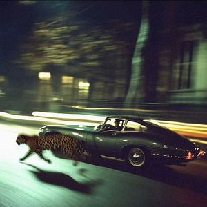 if you+罗生门（狂风和暴雨）