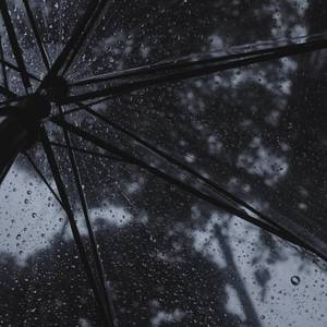 今天雷雨北风4-5级（翻自 丁芙妮）