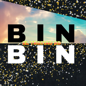 Binbin
