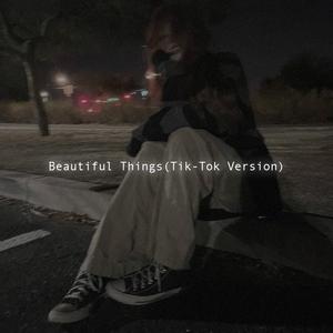 Beautiful Things