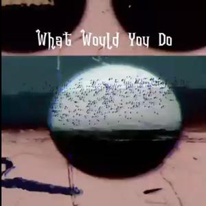 What Would You Do