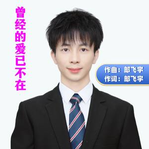 曾经的爱已不在