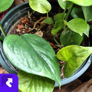 时间流转 (现场)