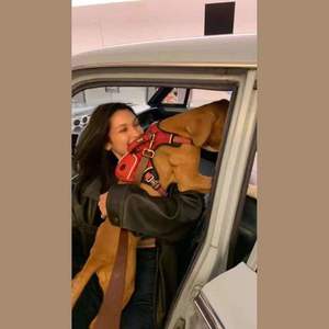 一身清贫怎敢入繁华