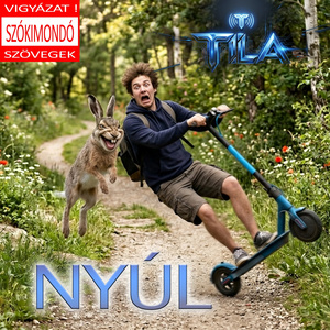 Nyúl