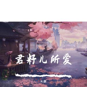 昭华情（cover：等什么君）