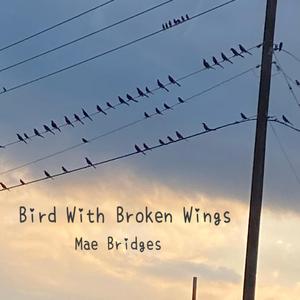 Bird With Broken Wings