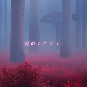 涙のメロディー