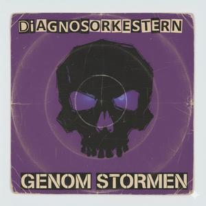 Genom Stormen
