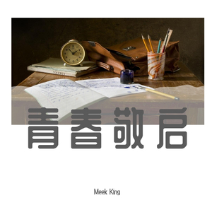 胡夏-那些年remix（Meek King remix）