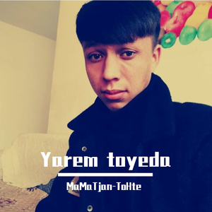 Yarim Toyida