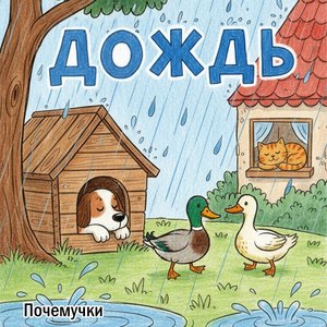 Дождь