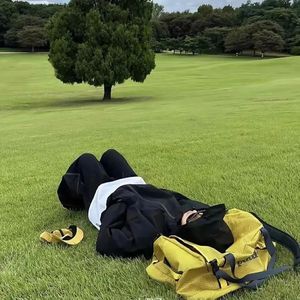 锦灰诺