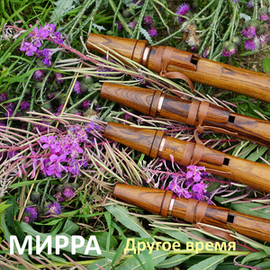 День восьмой