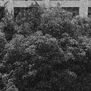 副本-4月16日 下午4点12分(人声).m4a.